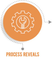 processreveal
