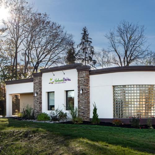 Natural Paths to Wellness – Renovation